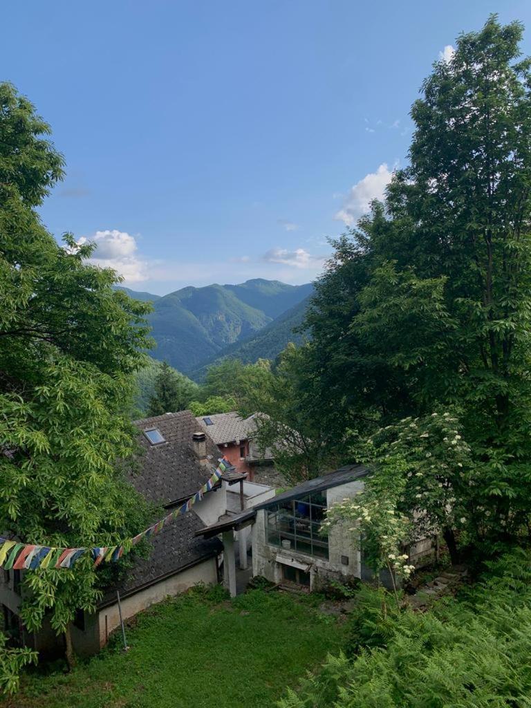 Secret Mountain Retreat Valle Cannobina Vila Orasso Exterior foto