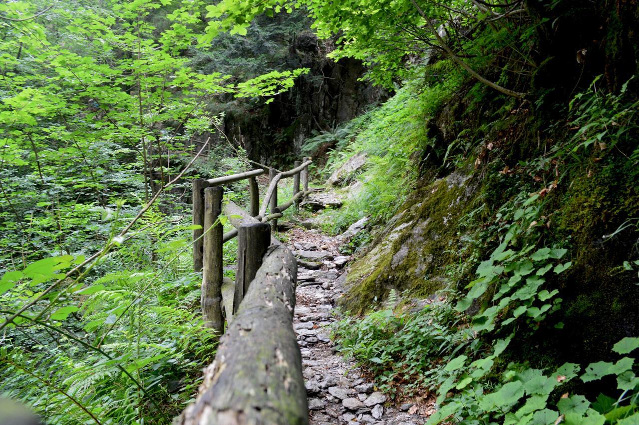 Secret Mountain Retreat Valle Cannobina Vila Orasso Exterior foto