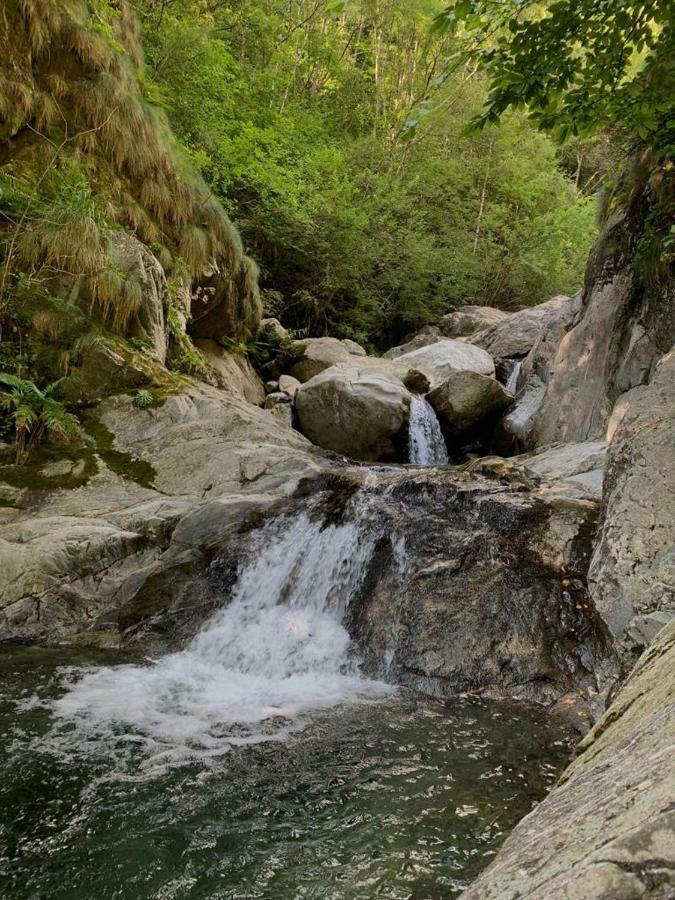 Secret Mountain Retreat Valle Cannobina Vila Orasso Exterior foto